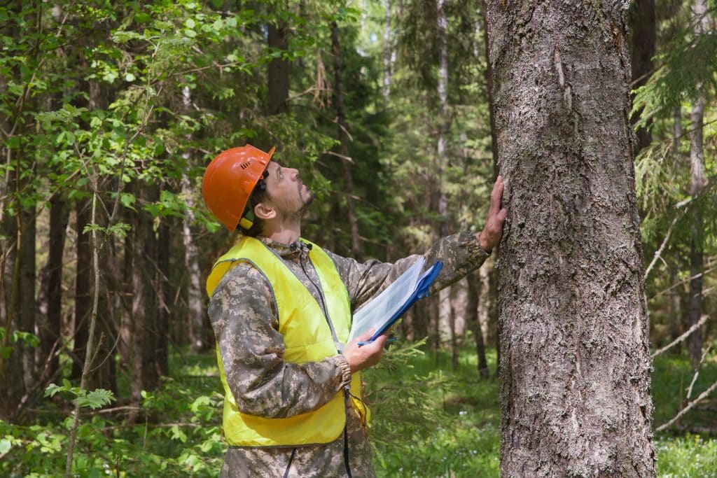 Slc Tree Protection Emergency Tree Services | Expert Arborists | SLC, UT