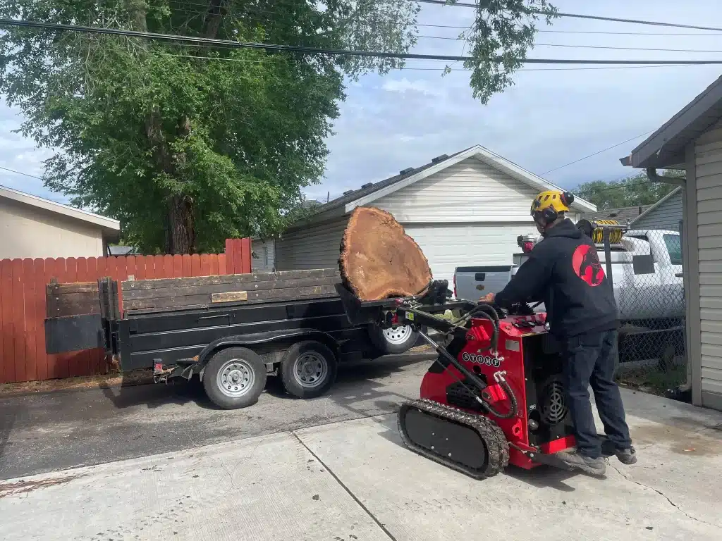A man is loading tree pieces on a truck for tree removal near me in Salt Lake City .